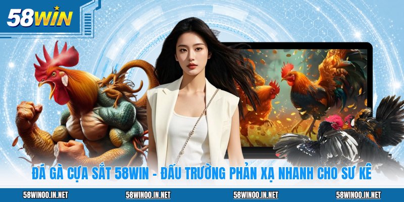 Đá Gà Cựa Sắt 58WIN - Đấu Trường Phản Xạ Nhanh Cho Sư Kê